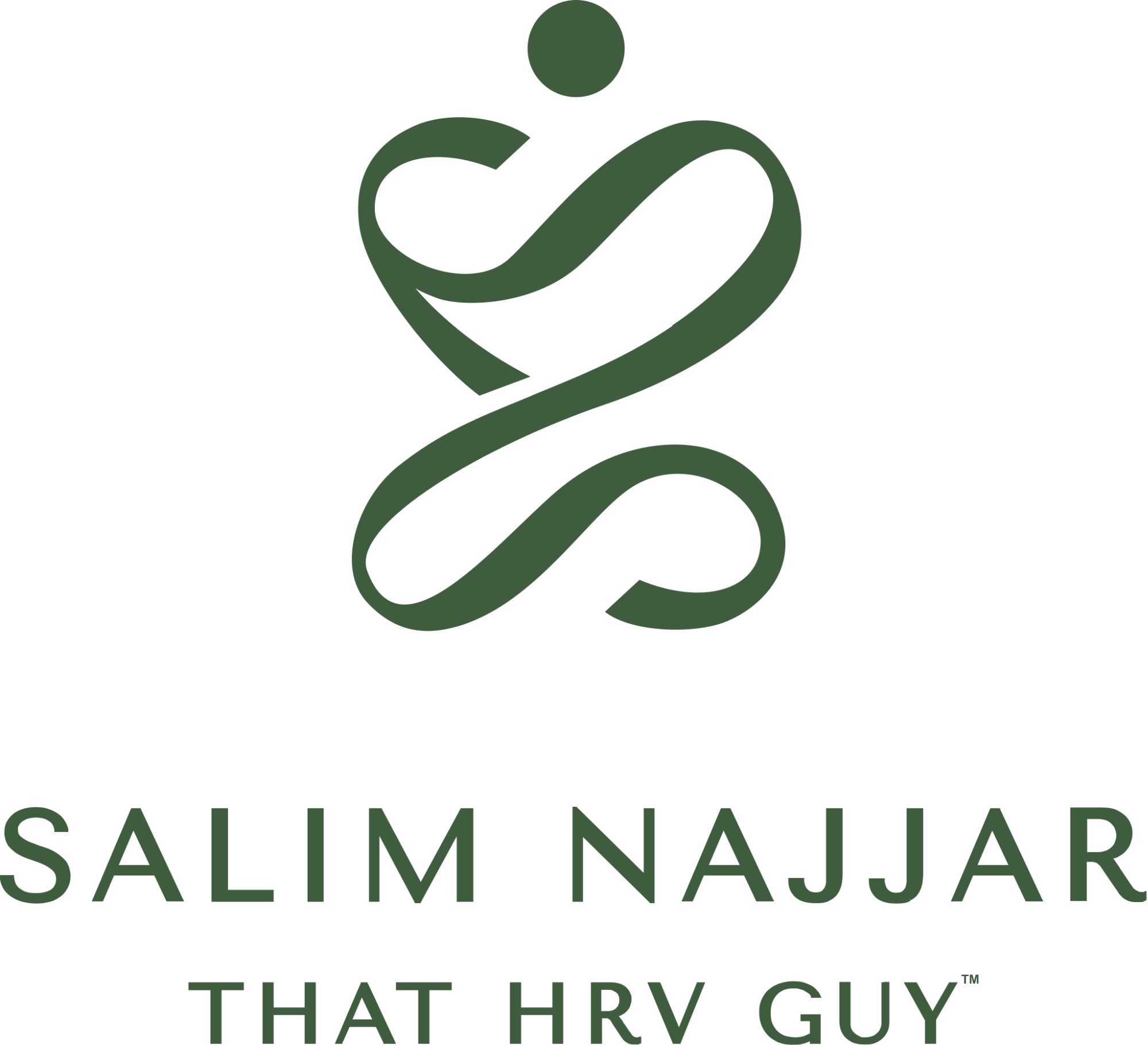 Salim Najjar logo