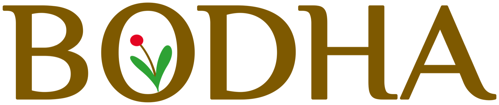 Bodha Drinks logo